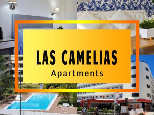 LAS CAMELIAS APARTMENTS c14