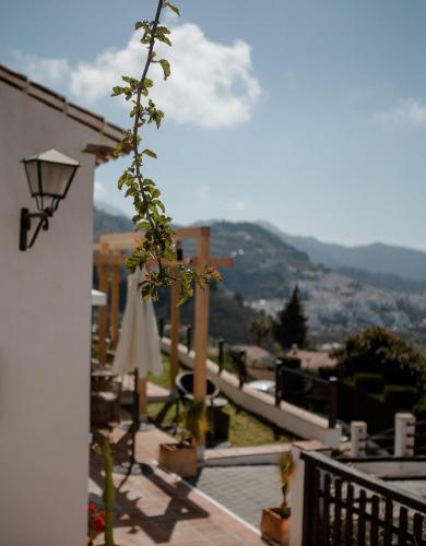 La Posada Morisca - image 14