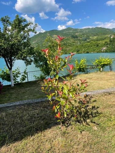 Apartment with Lake View