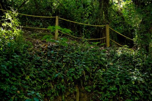 Hotel Rancho San Cayetano