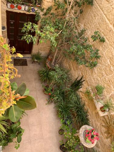 Knights In Malta B&B - image 3