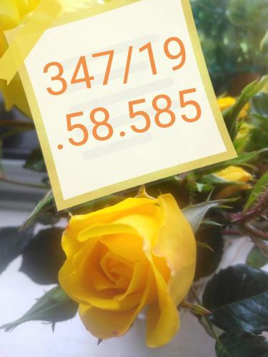 Appartamento Volte a Stella
