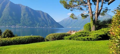  Degli Ulivi Apartment, Unterkunft in Sala Comacina