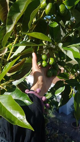  Casa Ana Frigiliana in Torrox