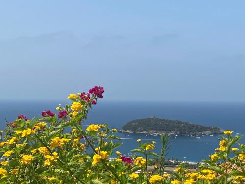 Luxury Villa Cirella happy island