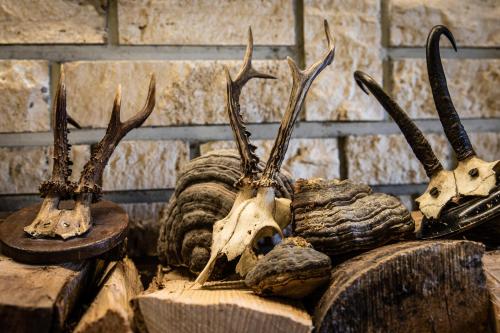 355999741 Alpenhotel Fischer 4 Sterne - Adults Only