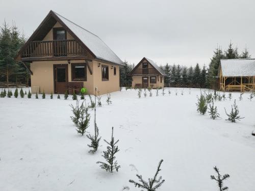 Świerkowy Zakatek (Swierkowy Zakatek) in Miedzygorze