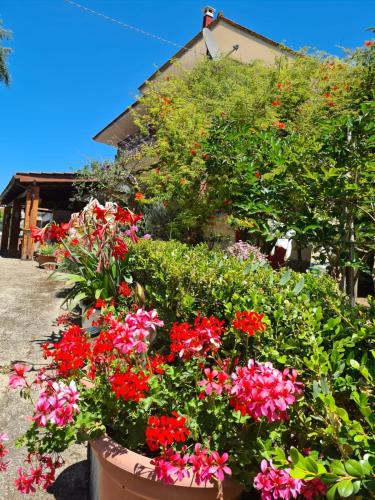 LA LIMONARA B&B chambre d'hôte Salerne