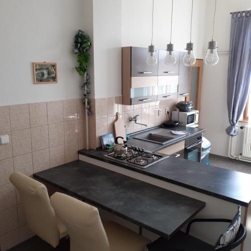 Konyha, Apartma Frantiskovy Lazne in Frantiskovy Lazne városközpont