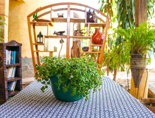 Instalaciones, Hotel Boruca Tamarindo in Tamarindo