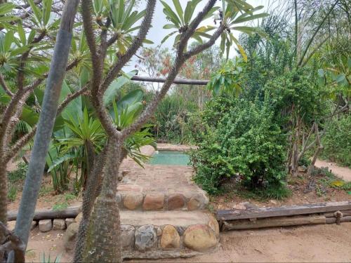 Swimming pool, African Sky Bush Camp in Thornybush Game Reserve