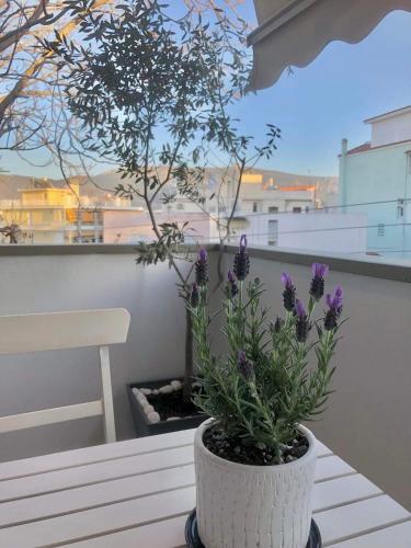 Tony's suite with parking, Atenas (foto 6)