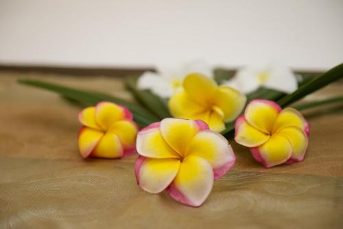 Anantara Vacation Club Legian Room Type - Studio