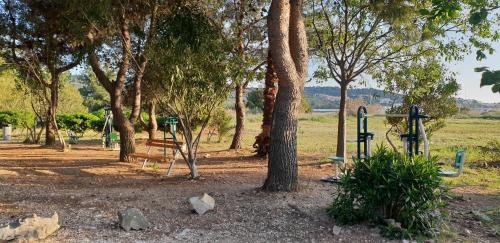 Anita Apartments - image 4