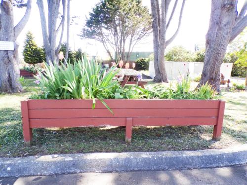 Shoreline Cottages - image 14