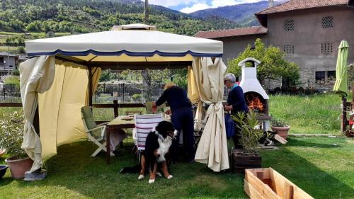 appartamento signorile con giardino CIR 0097 - Aosta