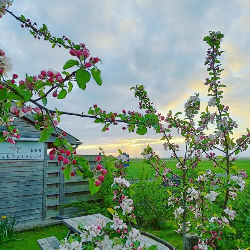 B&B Molenstreek 4
