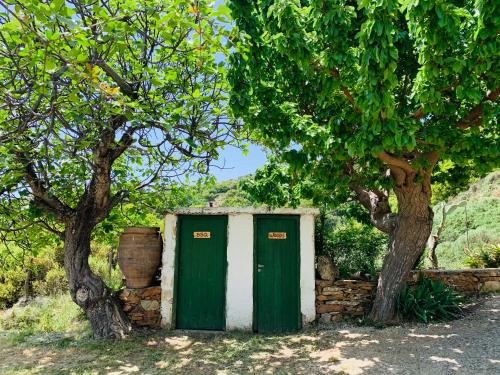 Garden, Temenia House in Kandanos
