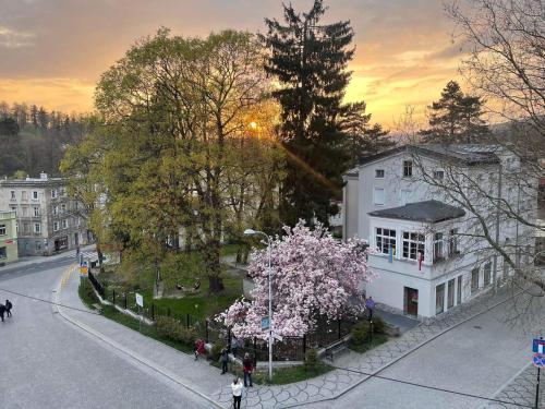 CIENISTA 7 APARTMENTS