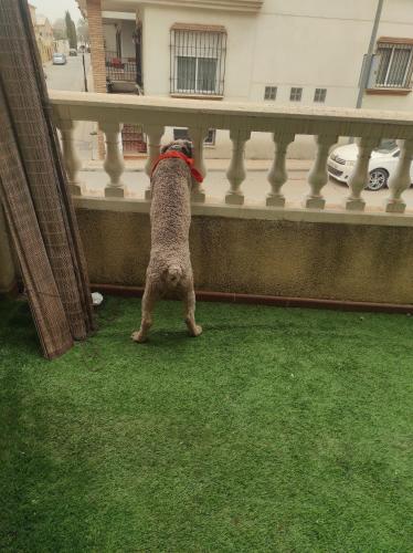  Precioso apartamento con aparcamiento gratuito in Purchil