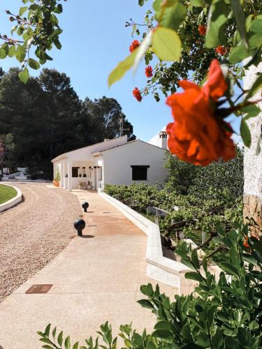 Apartamentos Cortijo Peñardera