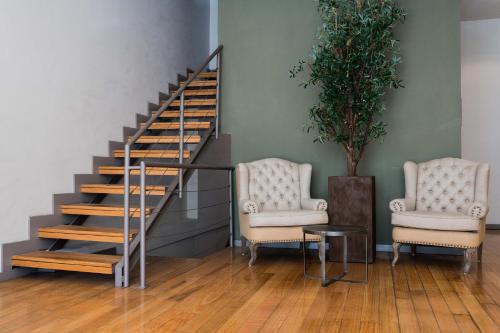 Olive Nature - Tourism Apartments - image 3