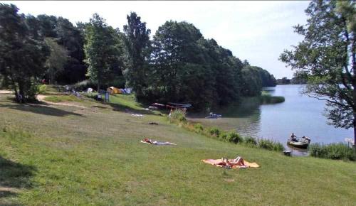 Ferienhaus Lychen UCK 1071 - image 12
