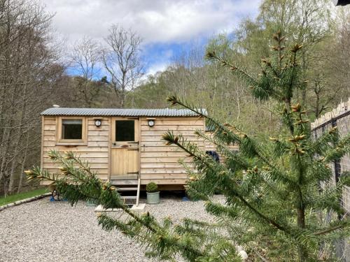 Highland Bear Lodge & Luxury Bear Huts - image 7