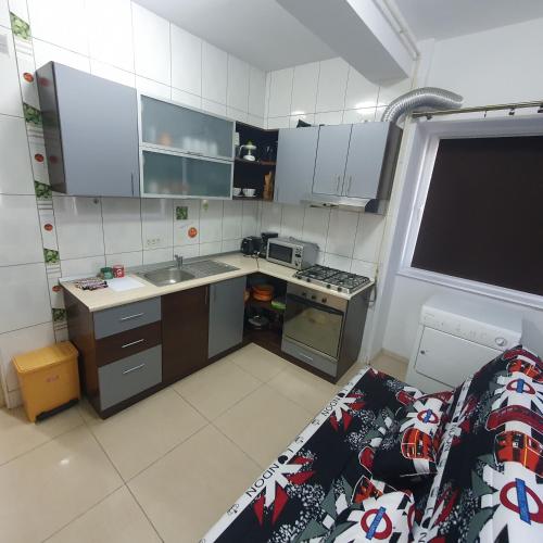 Apartament o camera Mamaia