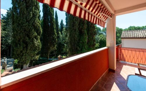 House Mitic 2