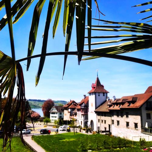  Ferien-Sempachersee Sandra Sens, Pension in Sempach bei Triengen