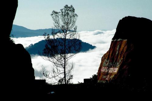 Mistica Munnar