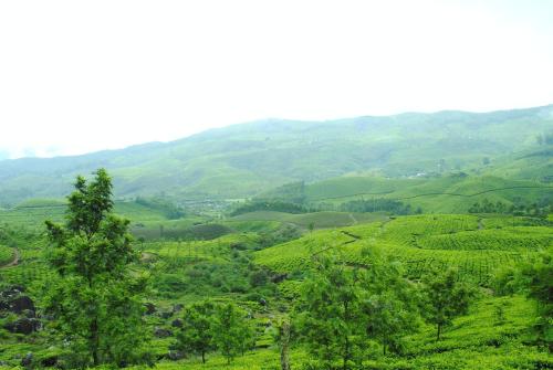 Mistica Munnar