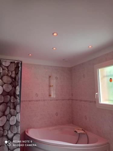 APPARTEMENT LE DOMAINE DES LIBELLULES PROCHE WALIBI in Corbelin