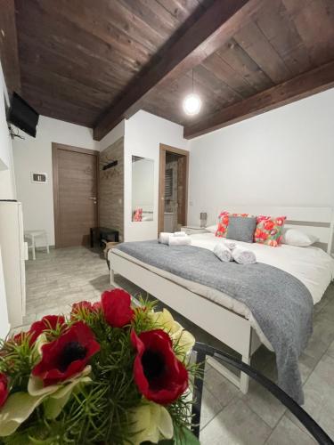  B&b Le Larie, Pension in Collepardo