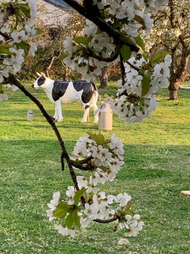 VILLA CATHY Chambres d hôtes chambre d'hôte Houlgate