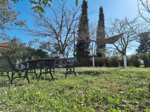 Alivia Garden gîte à louer Palioúri