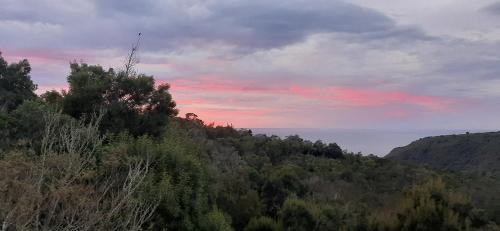 Kilátás, Oriole Serene Self Catering Studio in Victoria Öböl