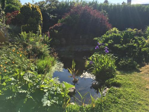 Slerra Hill Bed and Breakfast, Clovelly in Bideford Városközpont