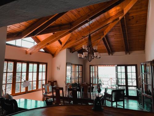 Pub, Villa paloma in Constanza