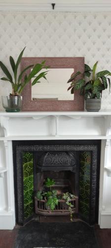 Adail Cottage gîte à louer Capel Seion