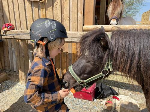 Fugger Alm Fugger Alm