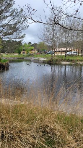 Maison au milieu de la foret classée 4 étoiles gîte à louer Brach