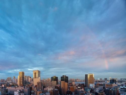 HOTEL THE CELESTINE TOKYO SHIBA