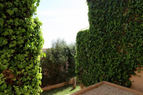 Aldea II Cala Fornells - image 7