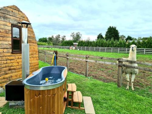 อ่างแช่น้ำร้อน, Skipbridge farm glamping in ชานเมืองยอร์ก