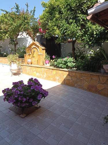 SUMMER HOUSE gîte à louer Kariótika