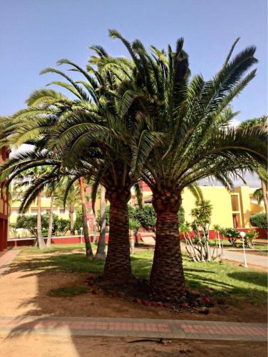 Garden, Pax et Bonum in Parque Holandes