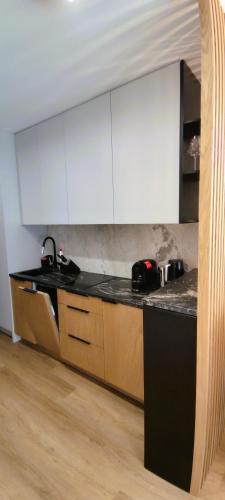 Cozinha, Apartament GOLD in Uzdrowiskowa