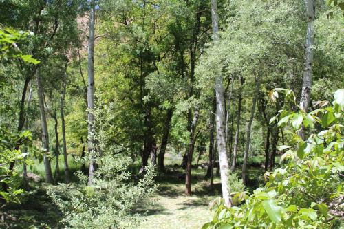 Restorāns, Auberge Toubkal Amsouzart Aitst Idar in Amsouzart